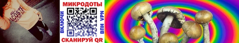 купить наркотики сайты Родники Галлюциногенные грибы MAGIC MUSHROOMS